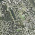 Person having breathing problems near pine tree drive