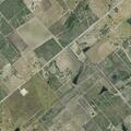 Person bitten or stung at County Road 203 address