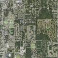 Person sick near S Amelia Ave in DeLand