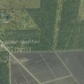 Female with catheter bag found empty near County Rd 913