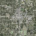 Person bitten by animal near Osceola Street
