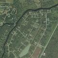 Loose dog reported on Oakwood Shores Drive