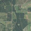 Large tree limb blocking County Road 640