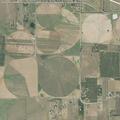 Loose cattle reported on Luckey Road property