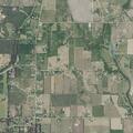 Neighbor dog attacks pet near County Rd 678 W, Natalia