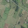 Loose livestock near store along fence line
