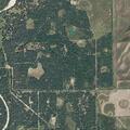 Controlled burn spreads to trees near Garwood