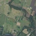 Loose livestock and cat blocking roadway