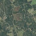 63-year-old woman found very confused at private road