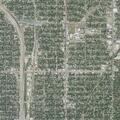Person sick near west lullwood avenue in San Antonio