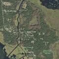 Power line fire after tree limb falls on roadway