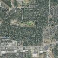 Child with swollen foot at Parkcrest Drive incident