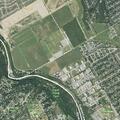 Juvenile reportedly rode dirt bike through a front yard