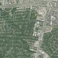 90-year-old woman faints and falls in Hollywood Park