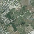 Neighbor’s dogs attack dog at Schertz home
