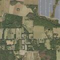 85-year-old woman with chest pain in Hawthorne