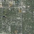 Brush fire investigation in Cofrin Nature Park
