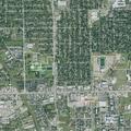 Family disturbance involving adult son