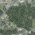 Person reported sick near Beechnut Street