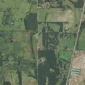Vehicle crash damages fence on County Road 441