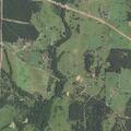 Tree blocking roadway on County Road 443
