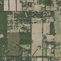 Patient falls near Northwest 176th Street in Alachua