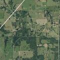 Deceased cat found on property near County Road 200