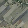Loose horses reported near FM 20 and Cottonwood Creek
