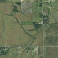 Person limping and crying with dogs near Todd Road