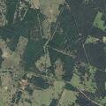 Person reported sick near Peach Creek Road in Rockne