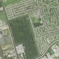 Woman experiencing chest pains at Harvey residence