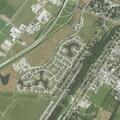Person with gout in leg near Luling