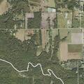 58-year-old male with nausea and stomach pain in Worthington Springs