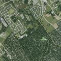 Child custody dispute on Majestic Forest Drive