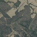 Vegetation fire on The Forest Road
