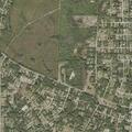 Small tree fire on Cosmos Avenue