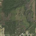 Small brush fire near Northeast State Road 16