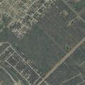 Person reported sick near Forest Run, Dale, TX