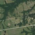 Loose calf reported on Stern Road