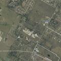 Loose cow grazing on roadside near FM 1625