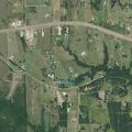 Cows reported in roadway near Trackside Road in Chappell Hill
