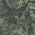 Male aged 32 injured with back bleeding near Blanco