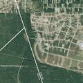 Group fight reported near Rd 5102 in Liberty County