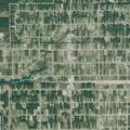 Man experiences allergic reaction after ant attack in Texas
