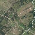 Loose livestock reported on County Road 130