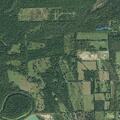 Person reported sick at Liberty County Road 2095