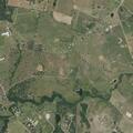 Injured dog reported near Private Rd (number withheld) in Giddings