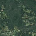 Person sick near County Road 4186 in Deweyville