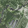 Person experiencing chest pain near Camellia Drive