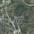 Person bitten by animal at Johnson City EMS station